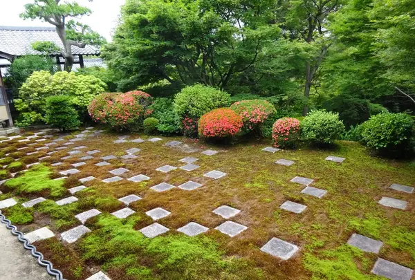 東福寺の写真・動画_image_282104
