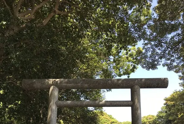 酒列磯前神社の写真・動画_image_282133