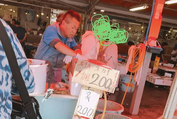 森田水産の写真・動画_image_282137