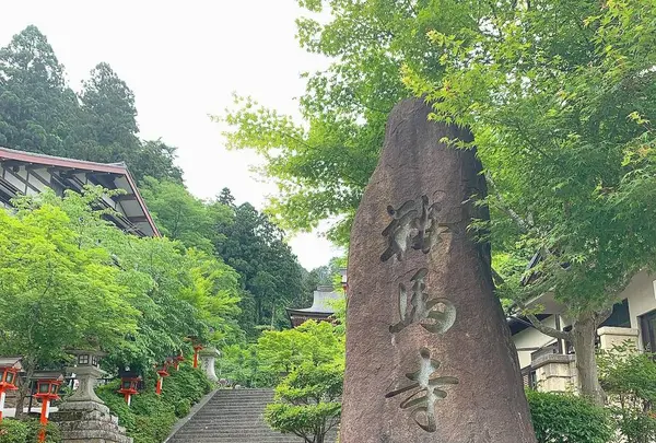 鞍馬寺 仁王門の写真・動画_image_282201