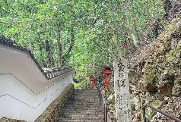 鞍馬寺 本堂の写真・動画_image_282204