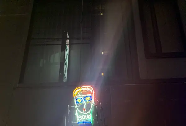【閉業】SOUR （サワー）の写真・動画_image_282230