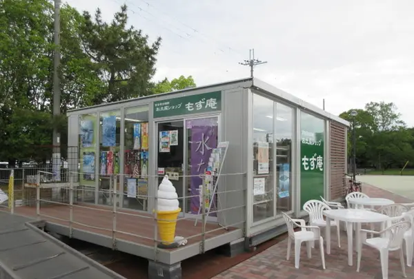 国指定史跡 百舌鳥古墳群の写真・動画_image_282261