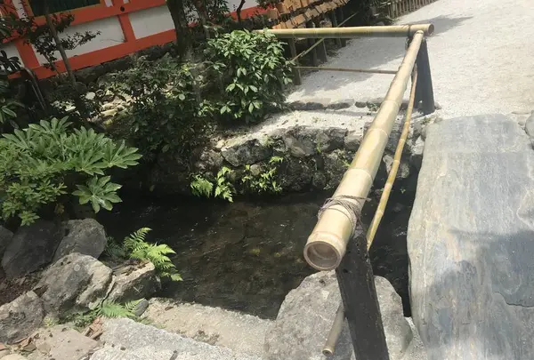 上賀茂神社（賀茂別雷神社）の写真・動画_image_282286