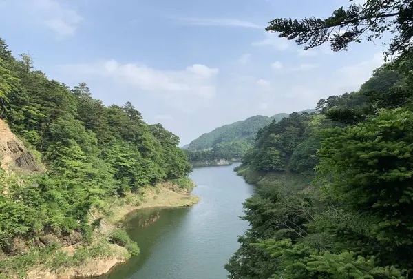 回顧の吊橋の写真・動画_image_282299