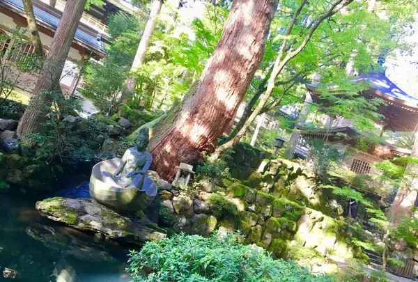 大本山永平寺の写真・動画_image_282360