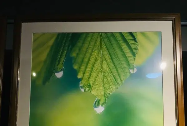 大本山永平寺の写真・動画_image_282362