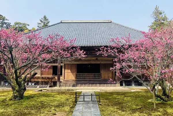 瀧谷寺の写真・動画_image_282365