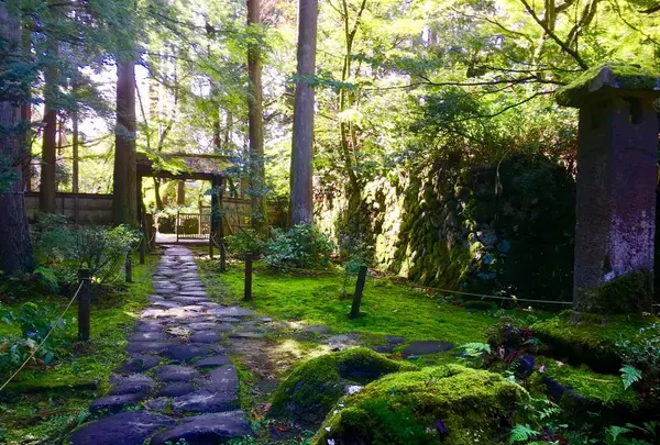 平泉寺白山神社の写真・動画_image_282372