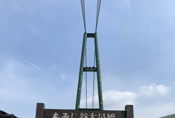 森林の駅　もみじ谷大吊橋の写真・動画_image_282517
