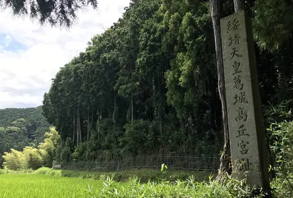 綏靖天皇葛城高丘宮跡の写真・動画_image_282544