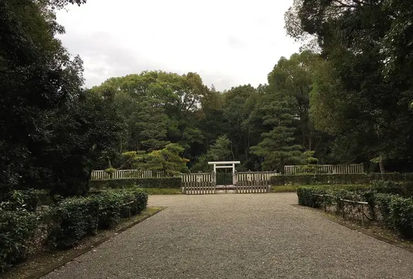 綏靖天皇陵の写真・動画_image_282548