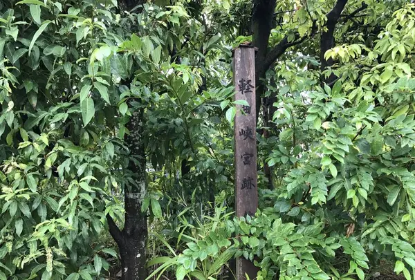 懿徳(いとく)天皇 大和の輕の境岡の宮伝承の地の写真・動画_image_282555