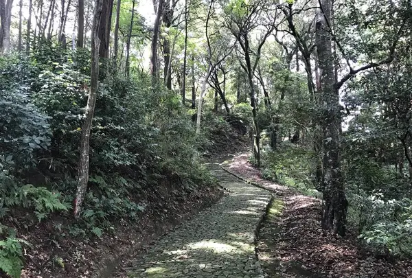 孝安天皇 玉手丘上陵の写真・動画_image_282563