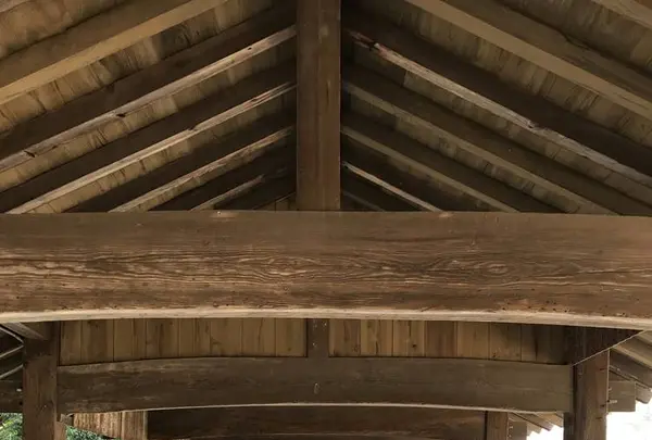 吉備津神社の写真・動画_image_282572