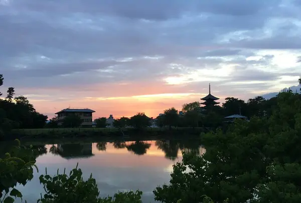 奈良ホテルの写真・動画_image_282737