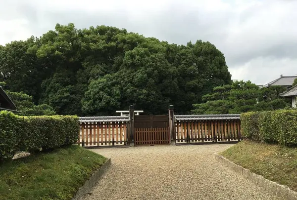 開化天皇 春日川坂上陵の写真・動画_image_282844