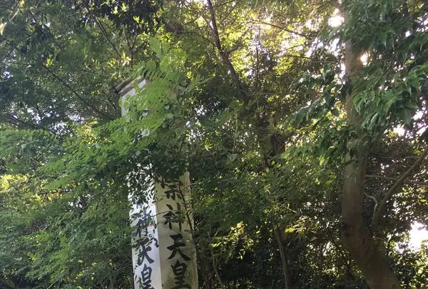 崇神天皇磯城瑞籬宮趾の写真・動画_image_282846