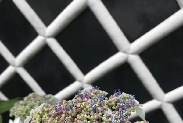 成就院の写真・動画_image_283040