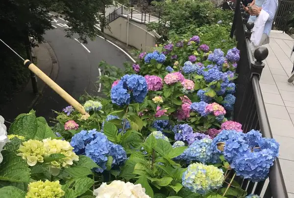 成就院の写真・動画_image_283043