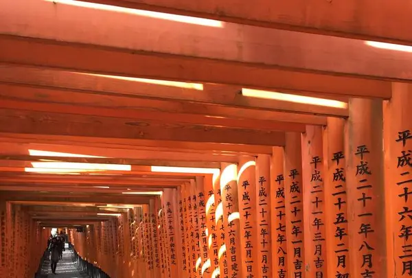 伏見稲荷大社の写真・動画_image_283060