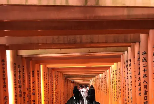 伏見稲荷大社の写真・動画_image_283062