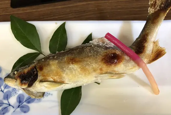 ドライブイン長谷川の写真・動画_image_283114