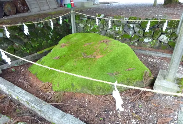 長滝白山神社の写真・動画_image_283549