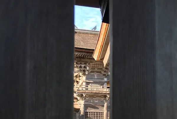 出雲大社の写真・動画_image_283781