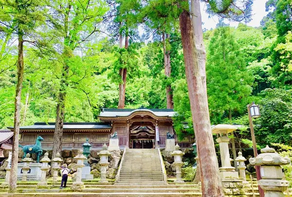 紙祖神岡太神社・大滝神社の写真・動画_image_283847
