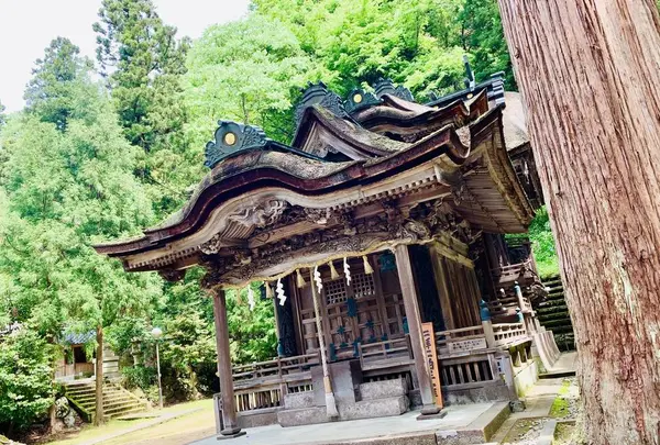 紙祖神岡太神社・大滝神社の写真・動画_image_283853