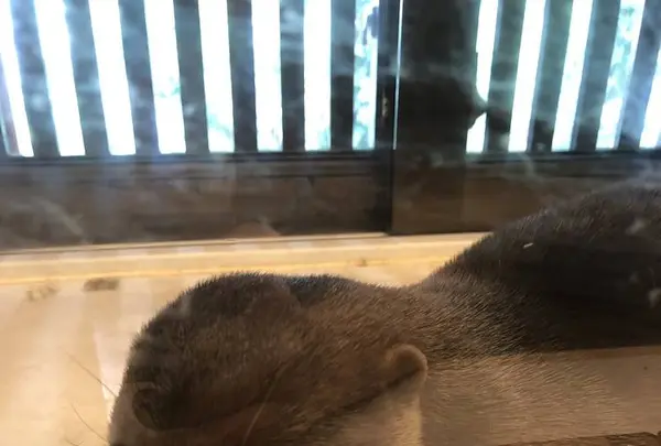 北野坂 か和うそ Cafeの写真・動画_image_283943