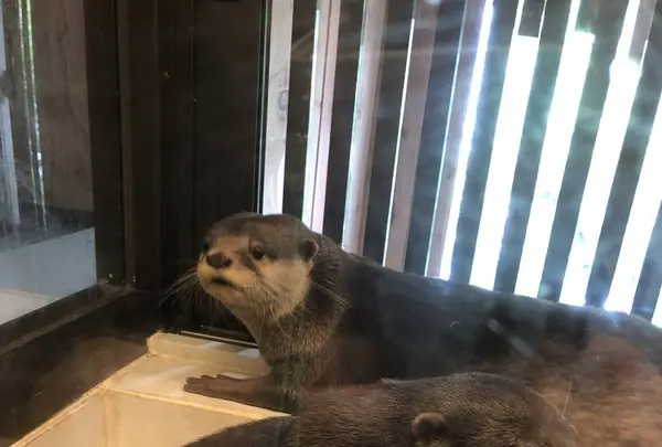 北野坂 か和うそ Cafeの写真・動画_image_283944