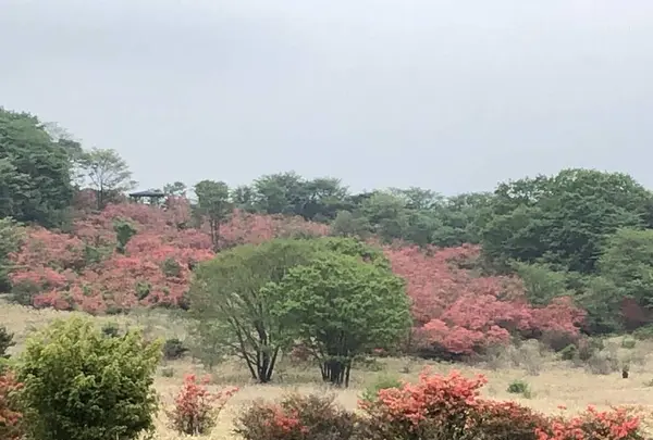 榛名湖の写真・動画_image_284002