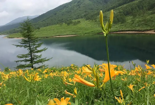 野反湖の写真・動画_image_284009
