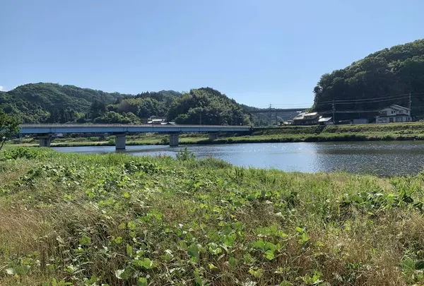 八岐大蛇公園の写真・動画_image_284056