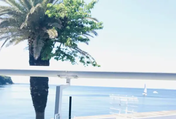 シーボニアクラブハウスレストランの写真・動画_image_284220