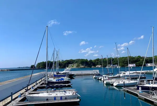 シーボニアクラブハウスレストランの写真・動画_image_284222