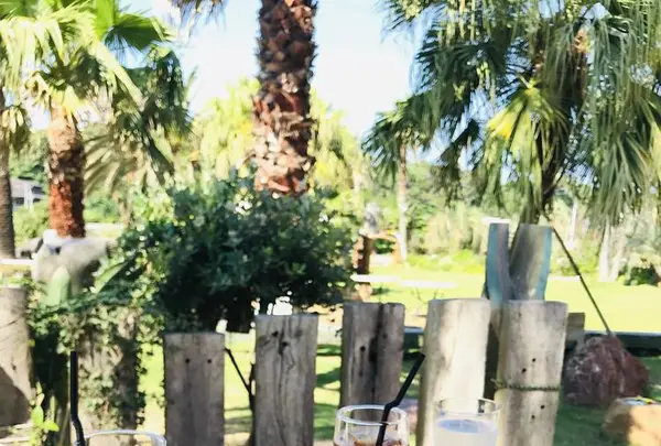 ヴェント・エ・イル・レオーネの写真・動画_image_284223