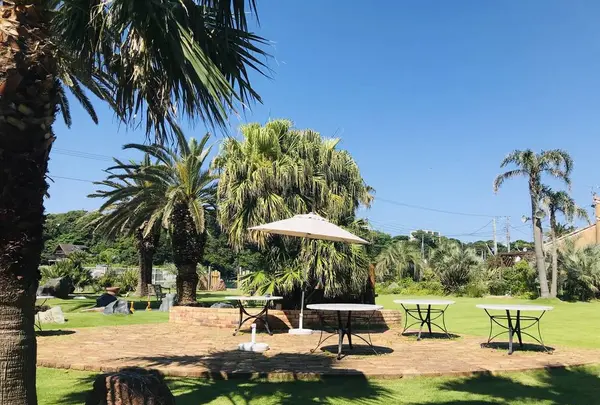 ヴェント・エ・イル・レオーネの写真・動画_image_284226