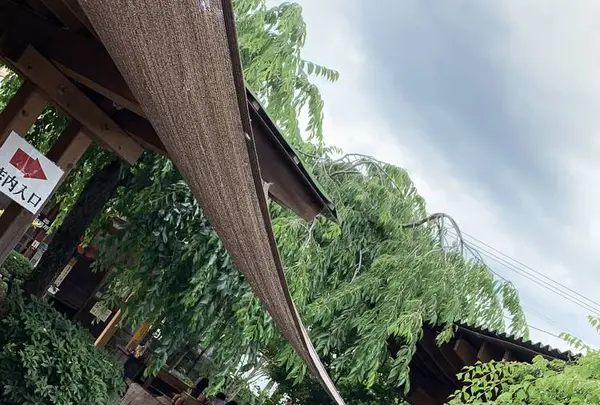 山越うどんの写真・動画_image_284315