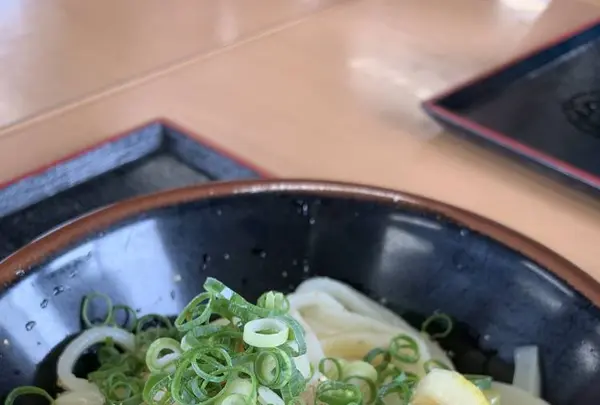本格手打うどん はゆかの写真・動画_image_284318