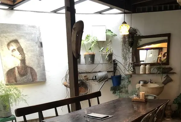 ボリジの写真・動画_image_284623