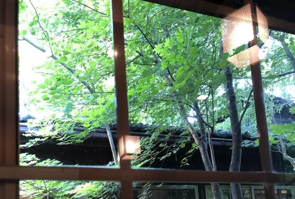 石心の写真・動画_image_284671