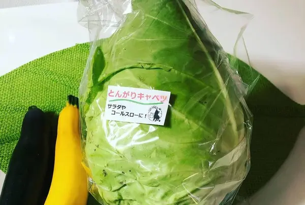 那須いちやホテルの写真・動画_image_284930