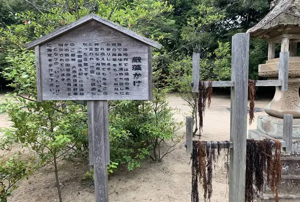 長浜神社の写真・動画_image_285121