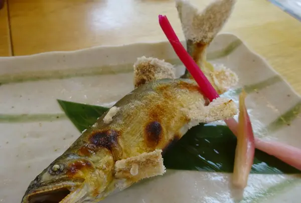 清流長良川あゆパークの写真・動画_image_285125