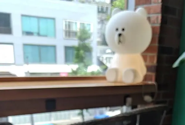 line Friends Store, 梨泰院旗艦店の写真・動画_image_285307