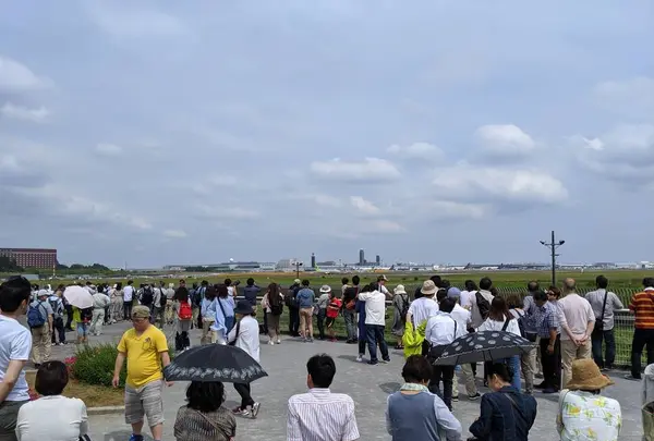 さくらの山公園の写真・動画_image_285320