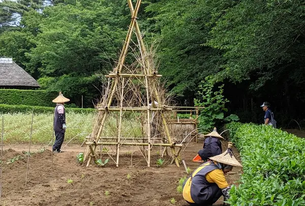 千葉県立房総のむらの写真・動画_image_285327